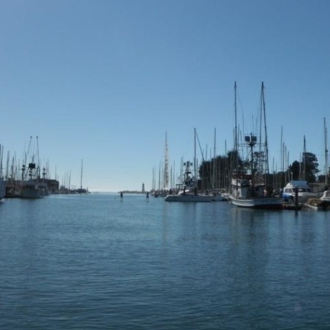 santa cruz harbor