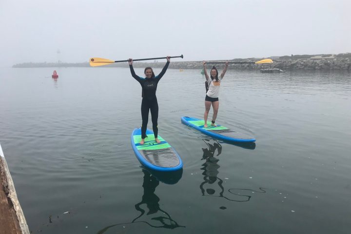 people holding paddles above their head
