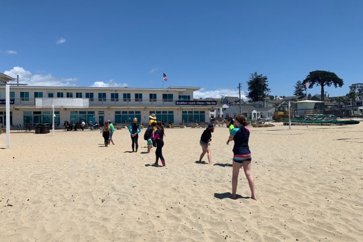 a group of people walking on a beach