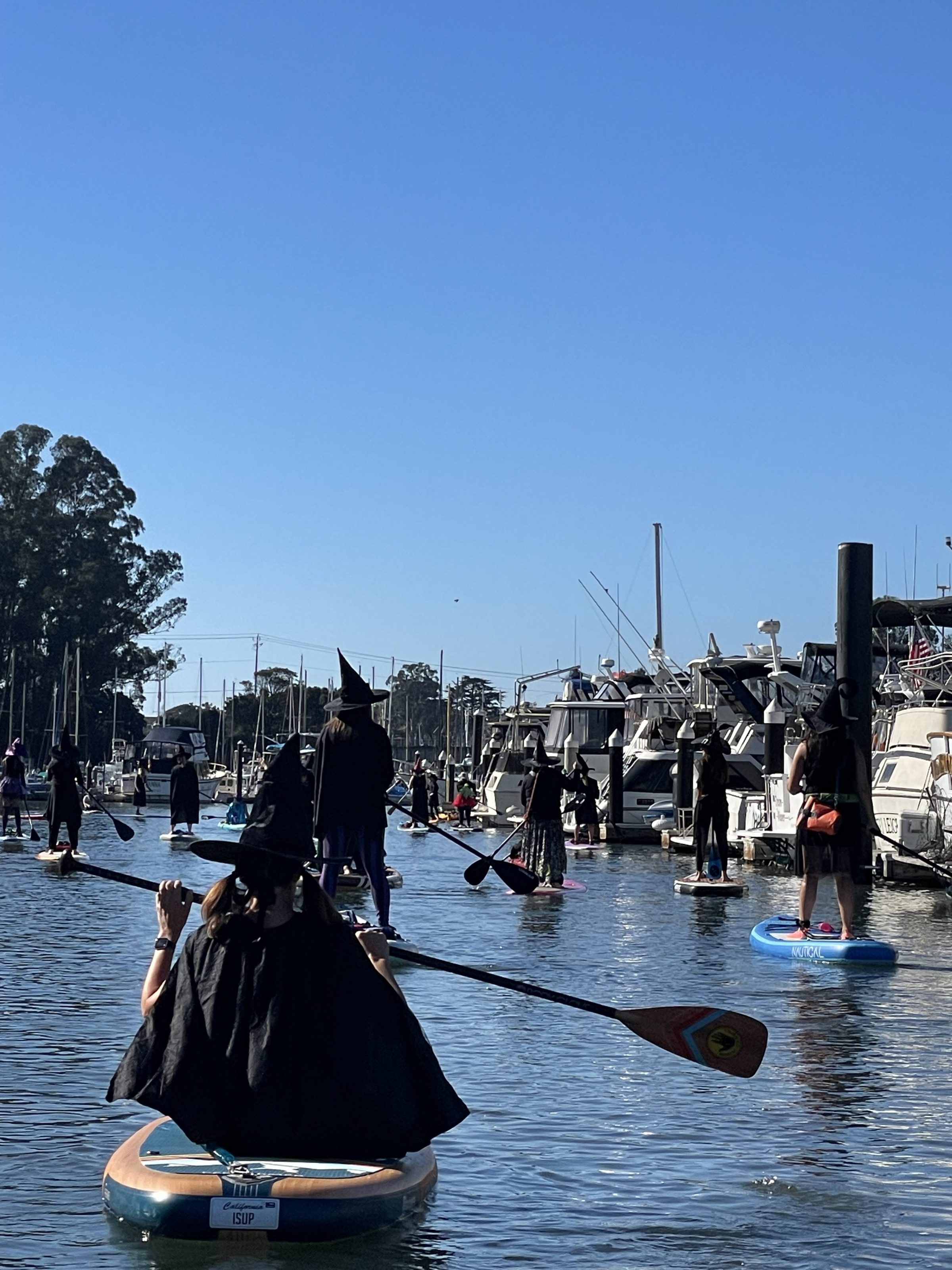 People in costumes paddleboarding in a harbor with boats and clear blue sky.